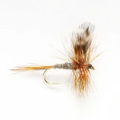 Orvis Adams| Dry Flies