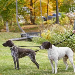 Orvis Adjustable Two-Dog Leash| Leashes