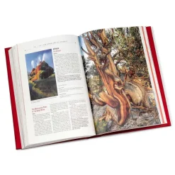 Orvis Atlas Obscura| Home Decor