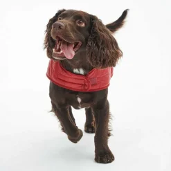 Orvis Barbour® Baffle Dog Jacket| Dog Jackets