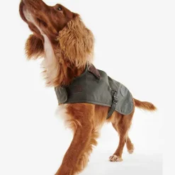 Orvis Barbour® Wax Dog Jacket| Dog Jackets
