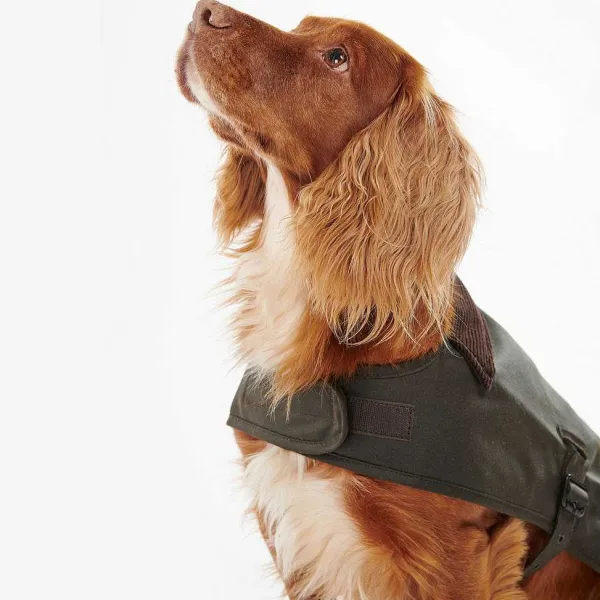 Orvis Barbour® Wax Dog Jacket| Dog Jackets