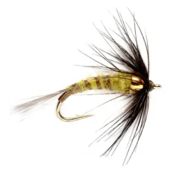 Orvis Bead Head Flymph - Bwo| Wet Flies