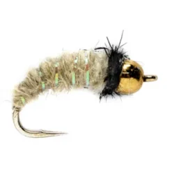 Orvis Bead Head Krystal Caddis Larva| Nymphs