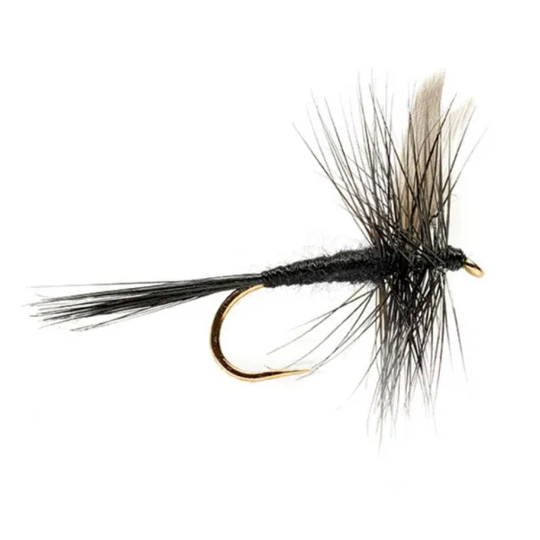 Orvis Black Gnat| Dry Flies