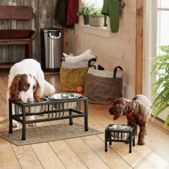 Orvis Black Steel Raised Feeder| Bowls, Feeders & Food Storage