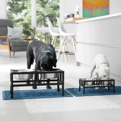 Orvis Black Steel Raised Feeder| Bowls, Feeders & Food Storage