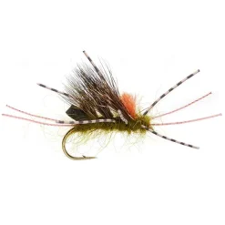 Orvis Burkus' Sedgeback Skwala| Nymphs