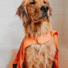 Orvis Cape Towel| Travel Accessories