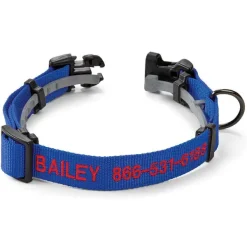 Orvis Conceal-A-Collar® Personalized Flea And Tick Collar| Collars
