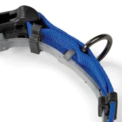 Orvis Conceal-A-Collar® Personalized Flea And Tick Collar| Collars