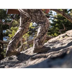 Orvis Crispi® Nevada Non-Insulated Gtx Boots|Men Boots