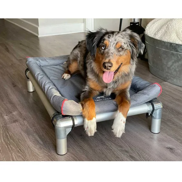 Orvis Deluxe Crate Bed| Crates & Crate Pads
