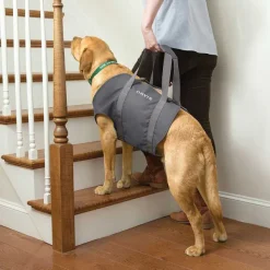 Orvis Dog Lift| Steps, Lifts & Traction