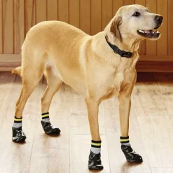 Orvis Dog Traction Socks| Steps, Lifts & Traction