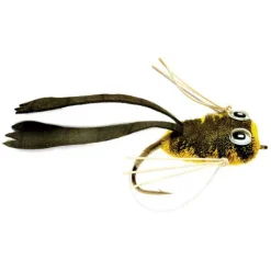 Orvis Dry Rind Frog Popper| Bass & Panfish Flies