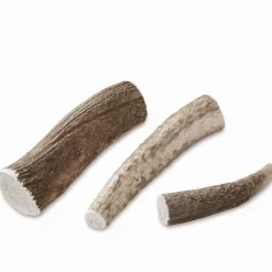 Orvis Elk Antler Chews| Treats