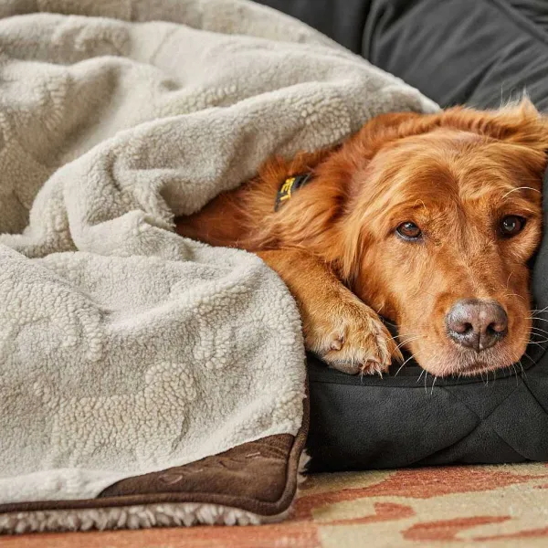 Orvis Embossed Sherpa Throw| Throw Blankets