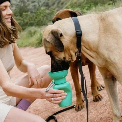 Orvis Flip Dog Travel Bottle| Travel Accessories