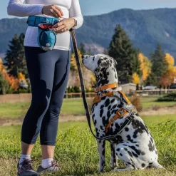 Orvis Go Stuff It Treat Bag| Treats