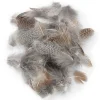 Orvis Hand-Selected European Partridge Feathers| Materials