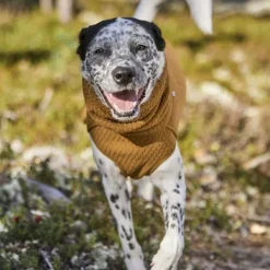 Orvis Hurtta Warming Midlayer Eco Dog Jacket| Dog Jackets