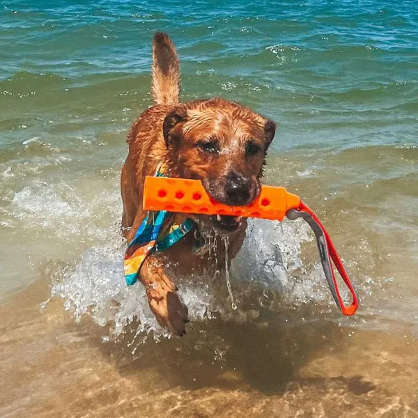 Orvis Hydro Floating Dog-Training Bumper| Toys