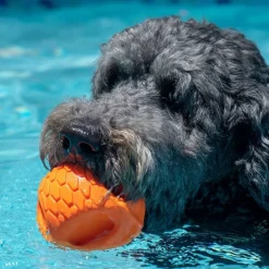Orvis Hydro Handler Dog Toy| Toys