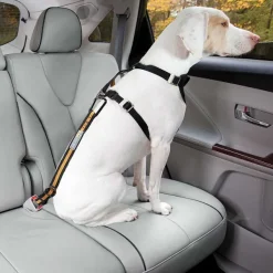 Orvis Kurgo® Seatbelt Buckle Dog Tether| Travel Accessories