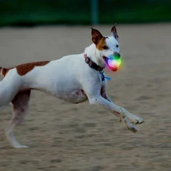 Orvis Led Ball| Toys
