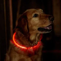 Orvis Led Rechargeable Safety Collar| Collars