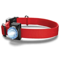 Orvis Led Safety Collar Light| Collars