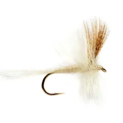 Orvis Light Cahill| Dry Flies