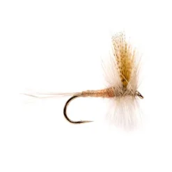 Orvis Light Hendrickson| Dry Flies