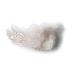 Orvis Mallard Duck Side Feathers| Materials
