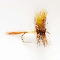 Orvis March Brown| Dry Flies