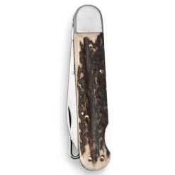Orvis Mercury Stag Bird Knife| Knives