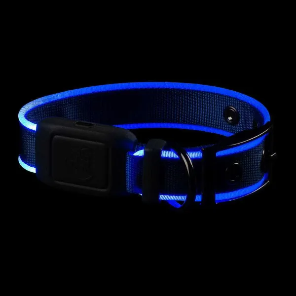 Orvis Nitedog® Rechargeable Led Dog Collar| Collars