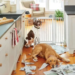 Orvis One-Touch Pet Gate| Gates & Dog Doors
