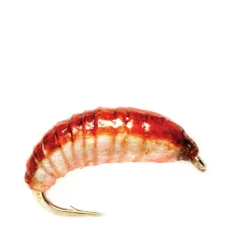 Orvis Ooey Gooey Grub| Nymphs