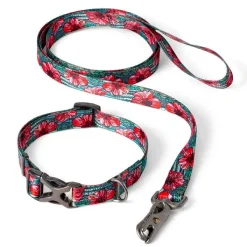 Orvis X Fishe® Wear Collar| Collars