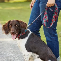 Orvis X Fishe® Wear Leash| Leashes