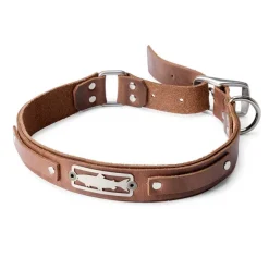Orvis X Sight Line Provisions Dog Collar| Collars