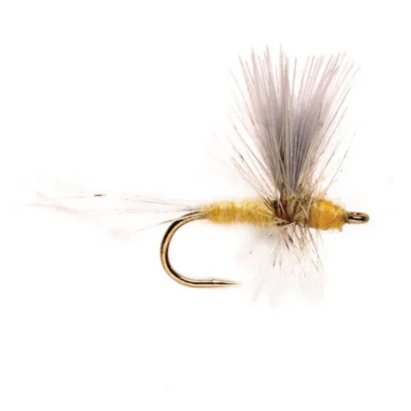 Orvis Pale Morning Dun Thorax| Dry Flies