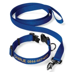 Orvis Personalized Adjustable Dog Collar With Leash| Collars