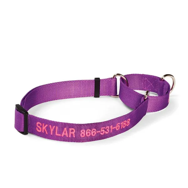 Orvis Personalized Martingale No-Pull Collar| Collars