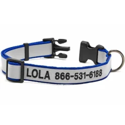 Orvis Personalized Reflective Collar| Collars