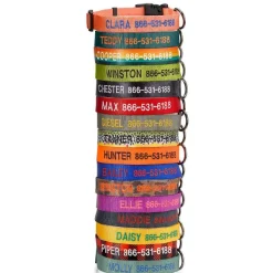 Orvis Personalized Side-Release Buckle Collar| Collars