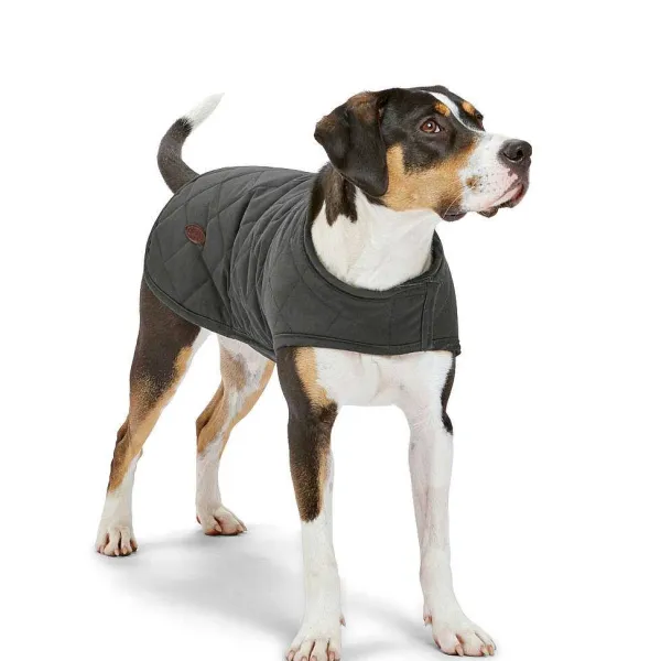 Orvis Quilted Waxed Dog Jacket| Dog Jackets