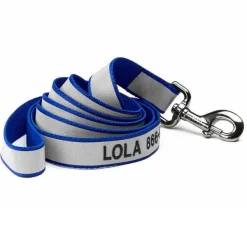 Orvis Reflective 6' Leash| Leashes
